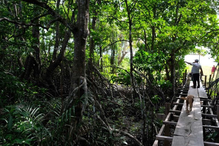 What and Where is Binga Beach Binga Beach Resort Palawan